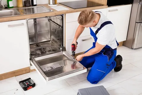 While some minor issues can be fixed by DIY enthusiasts, many dishwasher problems require professional expertise.
